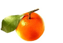 clementines nantes panier fruits